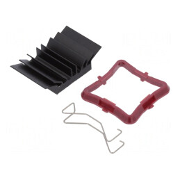 Radiator Extrudat cu Aripioare BGA Negru 23x23mm | Electronic-mag.ro | Componente Electronice
