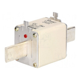 Siguranţă NH2 gG/gL 250A 500V | Electronic-mag.ro | Componente Electronice