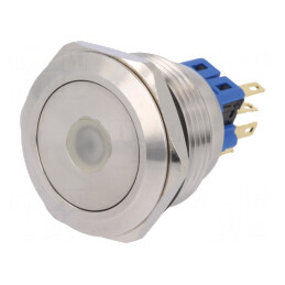 Comutator Anti-Vandalism 2 Poz SPDT 3A/220VAC 5A/24VDC IP65 | Electronic-mag.ro | Componente Electronice