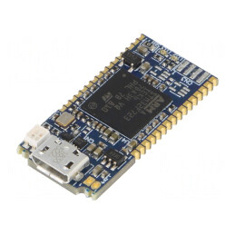 Programator microcontrolere STM32 USB