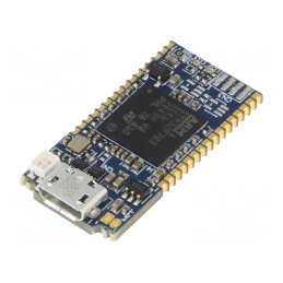 Programator microcontrolere STM32 USB | Electronic-mag.ro | Componente Electronice