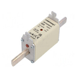 Siguranță Industrială Ceramica gG 32A 500V | Electronic-mag.ro | Componente Electronice
