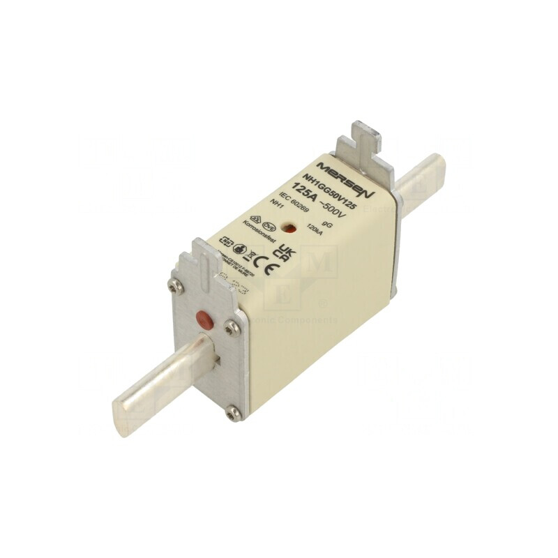 Siguranță gG 125A 500V NH1 | Electronic-mag.ro | Componente Electronice