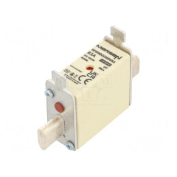 Siguranță Ceramică Industrială gG 63A 690VAC 250VDC | Electronic-mag.ro | Componente Electronice
