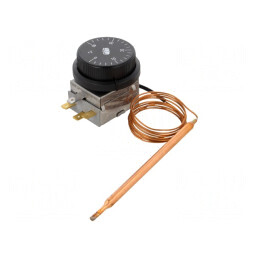 Termostat cu capilar SPDT 10A 400VAC ±3°C 0÷40°C BT | Electronic-mag.ro | Componente Electronice