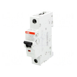 Întrerupător de supracurent 25A 1P 10kA 230/400VAC | Electronic-mag.ro | Componente Electronice