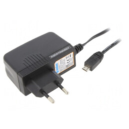 Alimentator Pulsatoriu 5V 2A 10W EU | Electronic-mag.ro | Componente Electronice