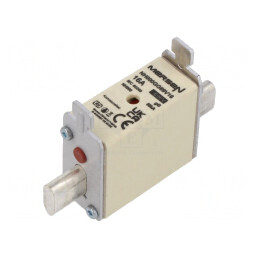 Siguranță Ceramică Industrială gG 16A 690VAC 250VDC | Electronic-mag.ro | Componente Electronice