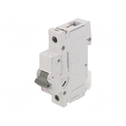 Întrerupător de Supracurent 63A 230/400V 1P 10kA | Electronic-mag.ro | Componente Electronice