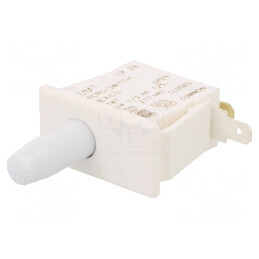 Comutator pentru ușă SPDT 10A 125VAC pe Panou | Electronic-mag.ro | Componente Electronice