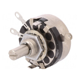 Potentiometru Axial 10kΩ 2W | Electronic-mag.ro | Componente Electronice