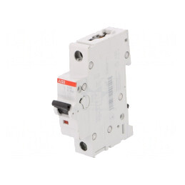 Întrerupător de Supracurent 10A 1P 6kA 230/400V | Electronic-mag.ro | Componente Electronice