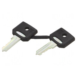 Cheie de 22mm Harmony XB4, set 2 buc. | Electronic-mag.ro | Componente Electronice
