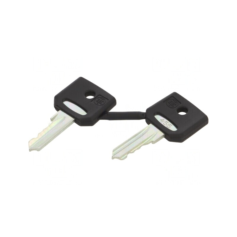 Cheie de 22mm Harmony XB4, set 2 buc. | Electronic-mag.ro | Componente Electronice