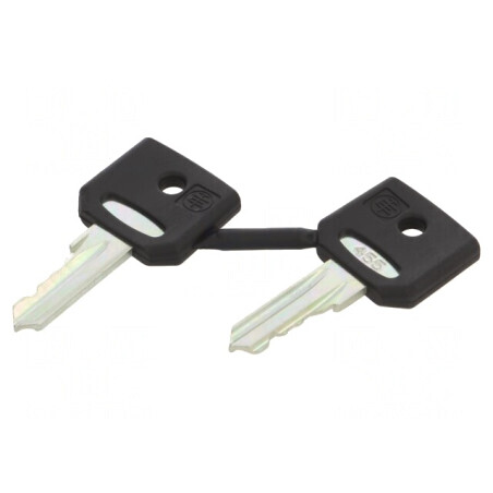 Cheie de 22mm Harmony XB4, set 2 buc. | Electronic-mag.ro | Componente Electronice