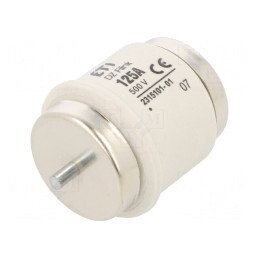 Siguranță Ardere Rapidă 125A 500V AC/DC | Electronic-mag.ro | Componente Electronice