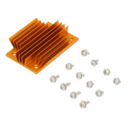 Radiator extrudat cu aripioare BGA aurie 58mm x 37mm | Electronic-mag.ro | Componente Electronice
