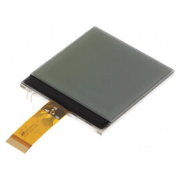 LCD Grafic 128x128 FSTN 2.1" | Electronic-mag.ro | Componente Electronice