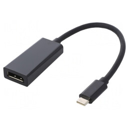 Adaptor USB-C la DisplayPort Negru 0.23m | Electronic-mag.ro | Componente Electronice