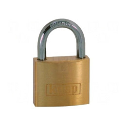 Lacăt Alamă 50mm cu 2 Chei | Electronic-mag.ro | Componente Electronice