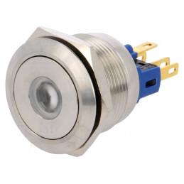 Comutator Anti-Vandalism 2 Pozitii 3A/220V | Electronic-mag.ro | Componente Electronice