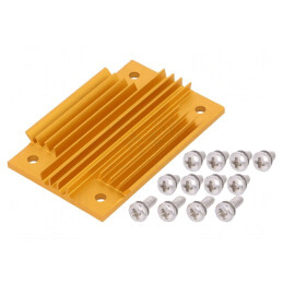 Radiator extrudat cu aripioare BGA aurie 58mm x 37mm | Electronic-mag.ro | Componente Electronice