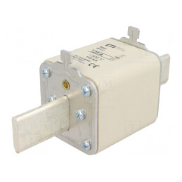 Siguranță Industrială Ceramica gG 125A 500VAC NH2 | Electronic-mag.ro | Componente Electronice
