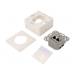 Soclu RJ45 Cat 6 Keystone Albă Două Porturi Montaj Perete | Electronic-mag.ro | Componente Electronice