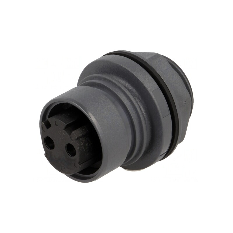 Conector circular soclu mamă 2 pini nichelat Buccaneer 6000 | Electronic-mag.ro | Componente Electronice