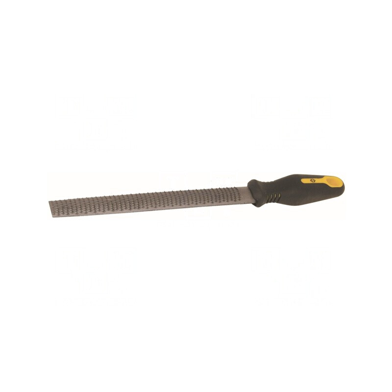 Pilă Rașpel Plată 250mm pentru Lemn și Oțel | Electronic-mag.ro | Componente Electronice