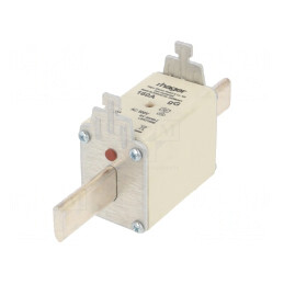 Siguranță Industrială gG 160A 500VAC NH2 | Electronic-mag.ro | Componente Electronice