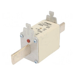 Siguranţă industrială gG 250A 500VAC NH2 | Electronic-mag.ro | Componente Electronice