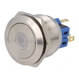 Comutator Anti-Vandalism IP65 2 Poz SPDT 3A/220VAC 5A/24VDC | Electronic-mag.ro | Componente Electronice