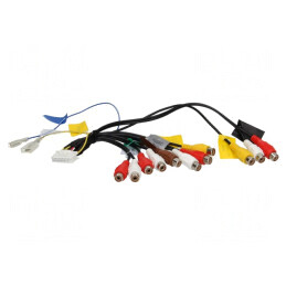 Conector | AVIC,RCA | Pioneer | PIN: 24 | 