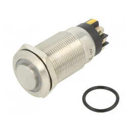 Comutator Anti-Vandalism 2 Poz SPDT 3A/220VAC 5A/24VDC IP65 | Electronic-mag.ro | Componente Electronice