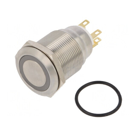 Comutator Anti-Vandalism IP65 12V | Electronic-mag.ro | Componente Electronice