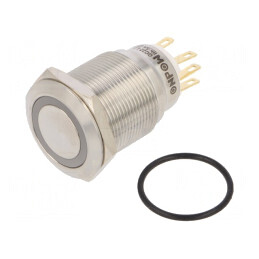 Comutator Anti-Vandalism IP65 24V 3A/220VAC 5A/24VDC | Electronic-mag.ro | Componente Electronice