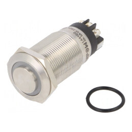 Comutator Anti-Vandalism 2 Poz SPDT 3A/220VAC 5A/24VDC IP65 | Electronic-mag.ro | Componente Electronice