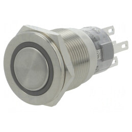 Comutator Anti-Vandalism SPDT 0,5A 220VAC 1A 24VDC | Electronic-mag.ro | Componente Electronice