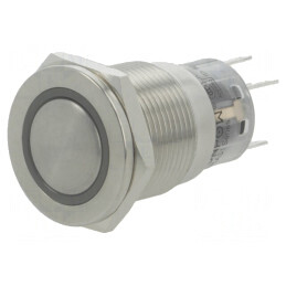Comutator Anti-Vandalism 2 Poz SPDT 0,5A 220VAC 1A 24VDC | Electronic-mag.ro | Componente Electronice