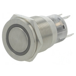 Comutator Anti-Vandalism SPDT 0,5A/220VAC 1A/24VDC | Electronic-mag.ro | Componente Electronice