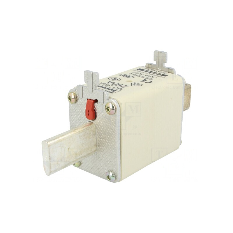 Siguranță NH1 250A 500VAC 250VDC | Electronic-mag.ro | Componente Electronice