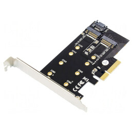 Adaptor PCIe M.2 dual 6Gbps | Electronic-mag.ro | Componente Electronice