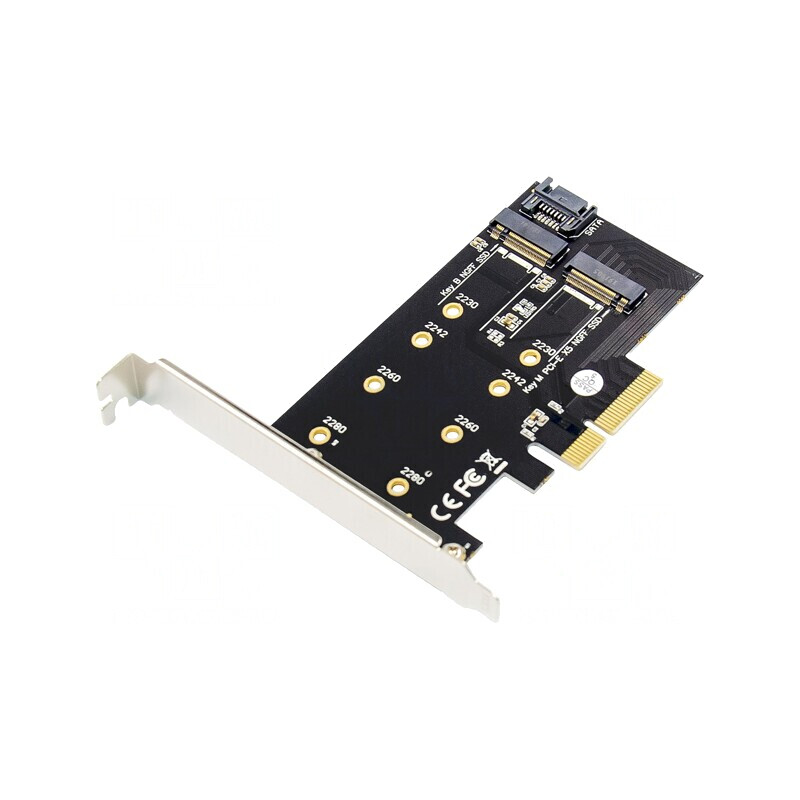 Adaptor PCIe M.2 dual 6Gbps | Electronic-mag.ro | Componente Electronice