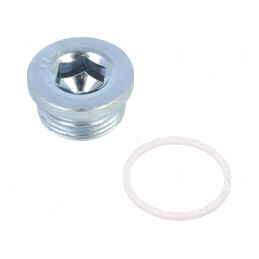 Obturator oţel zincat G 1 cu garnitură PVC | Electronic-mag.ro | Componente Electronice