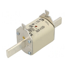 Siguranță Ceramică Industrială gG 63A 500VAC NH2C | Electronic-mag.ro | Componente Electronice