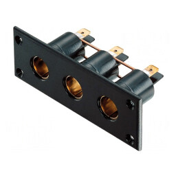 Filtru antiparazitar auto mini brichetă 16A negru x3 | Electronic-mag.ro | Componente Electronice