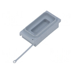 Capac Protecție D-Sub 9pin și HD 15pin Clichet | Electronic-mag.ro | Componente Electronice