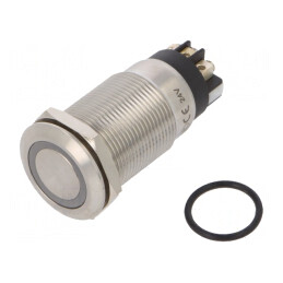 Comutator Anti-Vandalism 2 Poz SPDT 3A/220VAC IP65 | Electronic-mag.ro | Componente Electronice