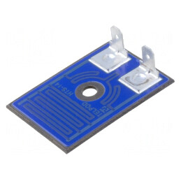 Rezistor Încălzire înşurubabil 40W Oțel | Electronic-mag.ro | Componente Electronice